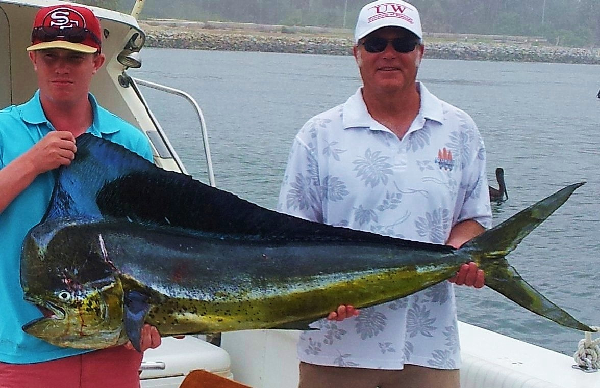 Nice Dorado caught on Fiesta Sportfishing Charter out of Puerto los Cabos. 